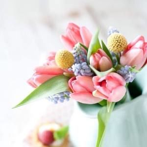 Meet your Posher, Paula